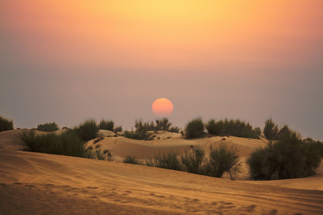 Golden sunset over desert dunes near Dubai