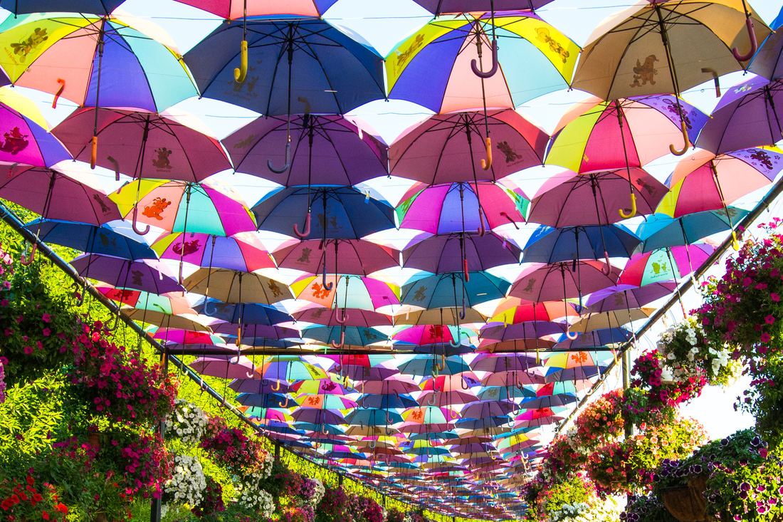 Path decorated with colourful umbrellas at Dubai Miracle Garden