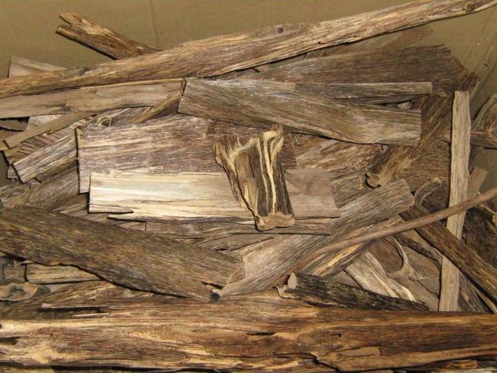 Pieces of top-grade agarwood, known as oud